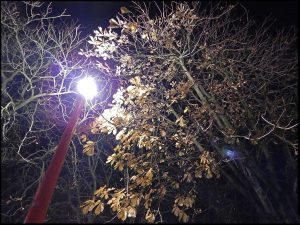 éclairage nuit